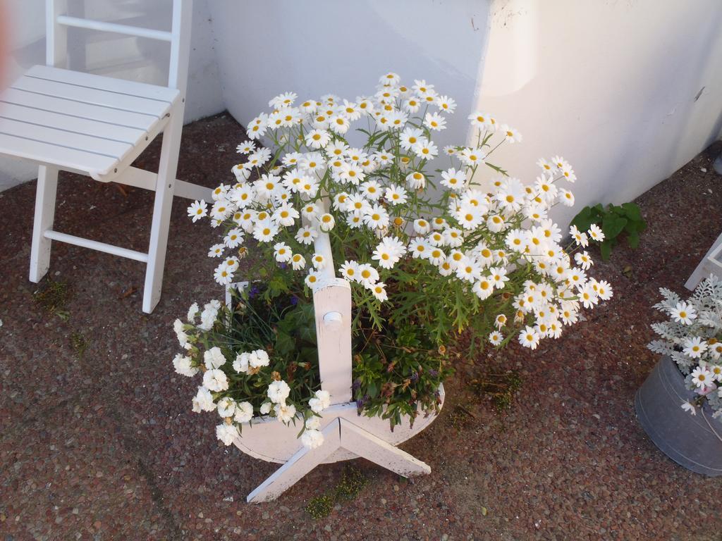 Hotel Oddevej 20 Skagen Extérieur photo